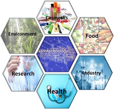 State-of-Art Bio-Assay Systems and Electrochemical Approaches for Nanotoxicity Assessment